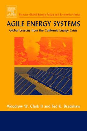 Agile Energy Systems: Global Lessons from the California Energy Crisis