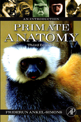 Primate Anatomy