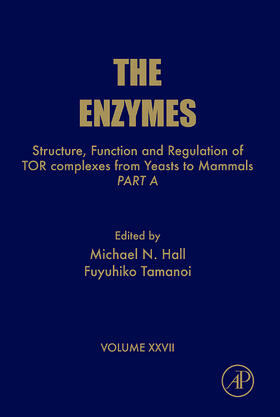 Structure, Function and Regulation of Tor Complexes from Yeasts to Mammals