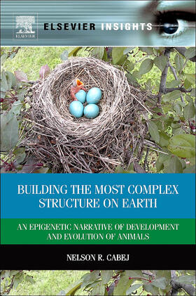 Building the Most Complex Structure on Earth