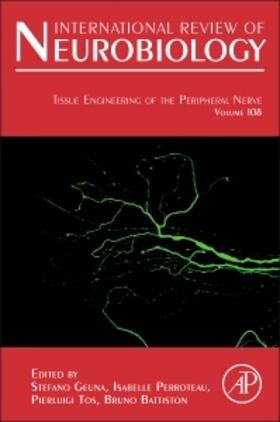 Tissue Engineering of the Peripheral Nerve