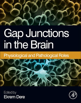 Gap Junctions in the Brain