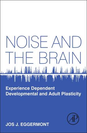 Noise and the Brain