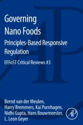 Governing Nano Foods: Principles-based Responsive Regulation