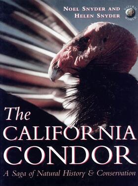 The California Condor