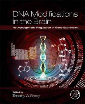 DNA Modifications in the Brain