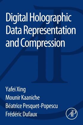 Digital Holographic Data Representation and Compression