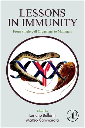 Lessons in Immunity: From Single-Cell Organisms to Mammals