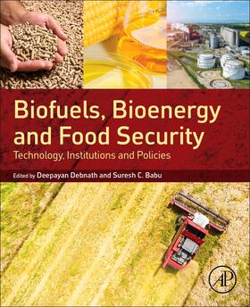 Biofuels, Bioenergy and Food Security