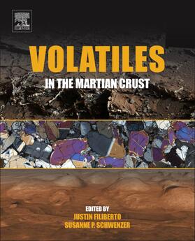 Volatiles in the Martian Crust