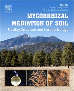 Mycorrhizal Mediation of Soil