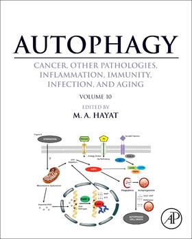 Autophagy: Cancer, Other Pathologies, Inflammation, Immunity