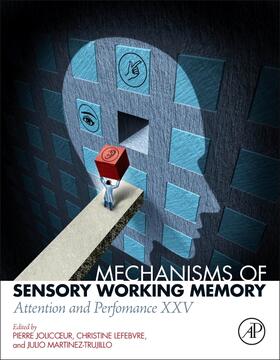 Mechanisms of Sensory Working Memory