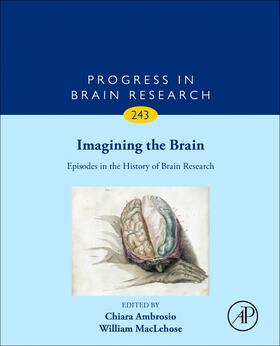 Imagining the Brain: Episodes in the History of Brain Research