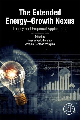 The Extended Energy-Growth Nexus