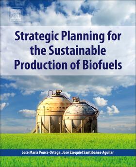 Strategic Planning for the Sustainable Production of Biofuel