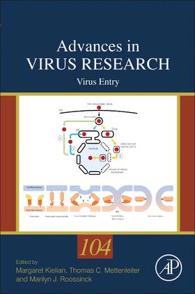 Virus Entry