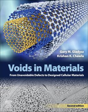 Voids in Materials