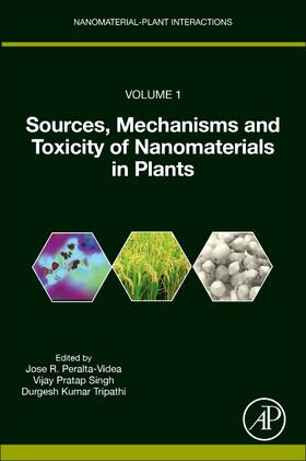 Sources, Mechanisms and Toxicity of Nanomaterials in Plants
