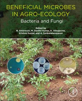 Beneficial Microbes in Agro-Ecology