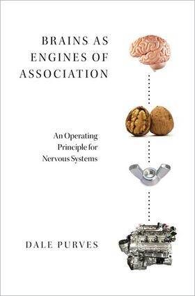 Purves, D: Brains as Engines of Association C