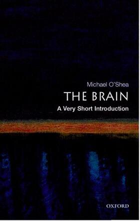 The Brain: A Very Short Introduction