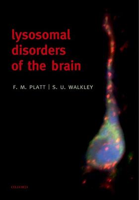 LYSOSOMAL DISORDERS OF THE BRA