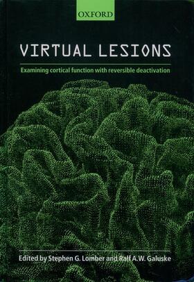 VIRTUAL LESIONS