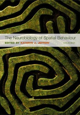 NEUROBIOLOGY OF SPATIAL BEHAVI