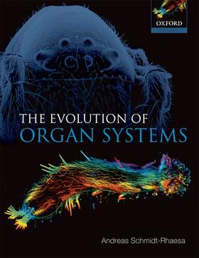 EVOLUTION OF ORGAN SYSTEMS