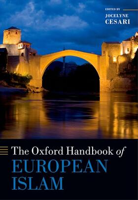 OXFORD HANDBK OF EUROPEAN ISLA