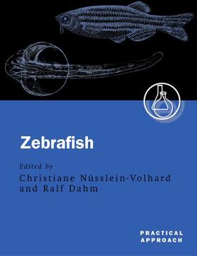 ZEBRAFISH