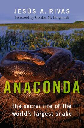 Anaconda