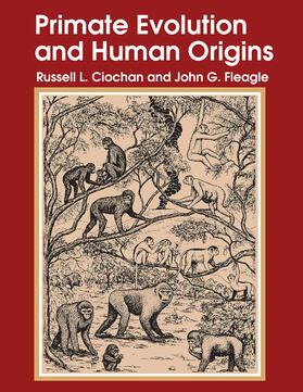 Primate Evolution and Human Origins