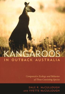 Kangaroos in Outback Australia