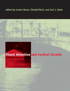 Visual Attention and Cortical Circuits