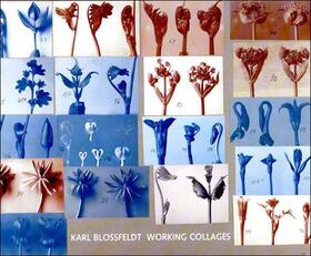 Karl Blossfeldt: Working Collages