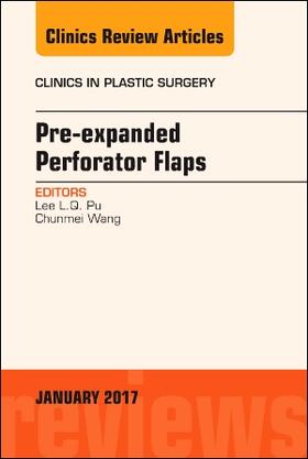 PRE-EXPANDED PERFORATOR FLAPS