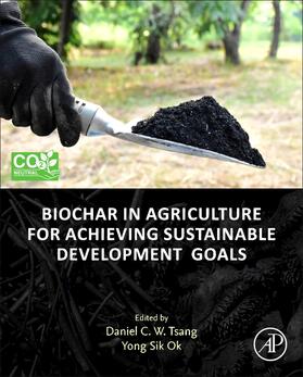 Biochar in Agriculture for Achieving Sustainable Development