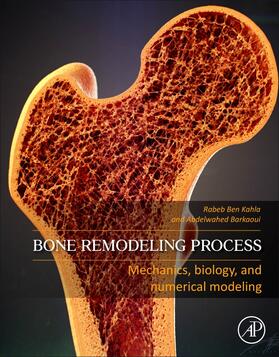 Kahla, R: Bone Remodeling Process