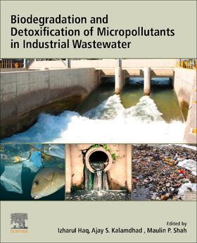 Biodegradation and Detoxification of Micropollutants in Indu