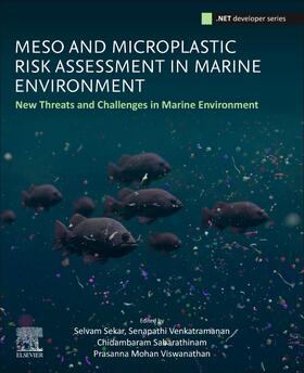 Meso and Microplastic Risk Assessment in Marine Environments