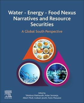 Water - Energy - Food Nexus Narratives and Resource Securities