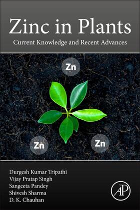 Zinc in Plants