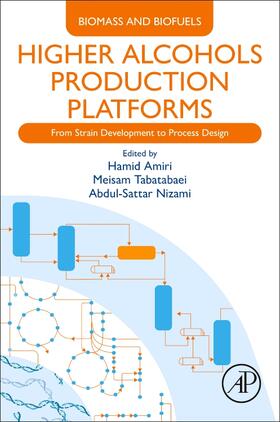 Higher Alcohols Production Platforms