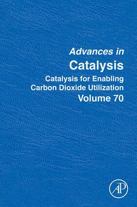 Catalysis for Enabling Carbon Dioxide Utilization