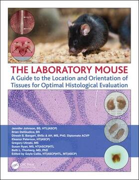 Thurberg, B: Laboratory Mouse