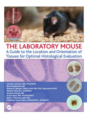 Thurberg, B: Laboratory Mouse