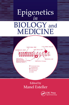 Epigenetics in Biology and Medicine