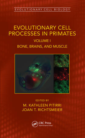 Evolutionary Cell Processes in Primates